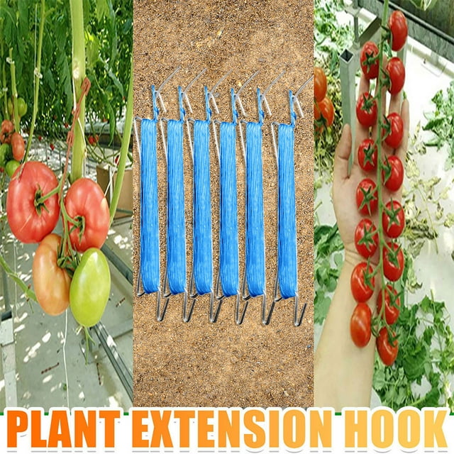 Vaidha Tomato Hook Tomato Support Clips Vegetable Support Tomatoe From Pinching