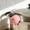 Pink-Free Size/PK, variant on Cute Pig Shaped Silicone Pot Lid Clip Anti-Overflow Cooking Helper Soup Stew Boiling Kitchen Accessory for Gas Induction Stovetop Cooking Kitchen Tool Compact Storage Cooking Gadget Practical