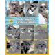 thumbnail image 2 of Sunglasses For Dogs Uv Safety Goggles, Dogs Windproof & Anti-fog Goggles (ruipei), 2 of 4