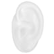 thumbnail image 4 of Modelo de oído de silicona portátil resistente resistente resistente al agua de alta  modelo de oído de silicona para demostrar el uso de auriculares centros ANGGREK Otros, 4 of 8