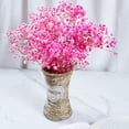 thumbnail image 5 of Preserved Baby's Breath 3 Bunches, 100% Natrual Fresh Gypsophila Long Lasting Flowers for Vase Arrangements Home Decoration Photo Props Parties and Weddings, DIY Décor-Pink, 5 of 12