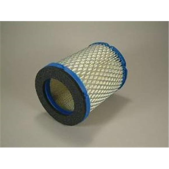 Cummins Nw 1403280 Onan Air Filter