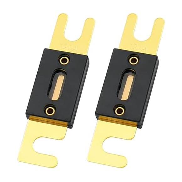 Fusible ANL Baomain 120A con terminales chapados en oro, paquete de 2