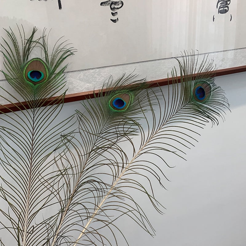 Natural Long Peacock Feathers - 30pcs 9-11 inches for Floral Arrangements, Wedding, Home and Party Decorations
