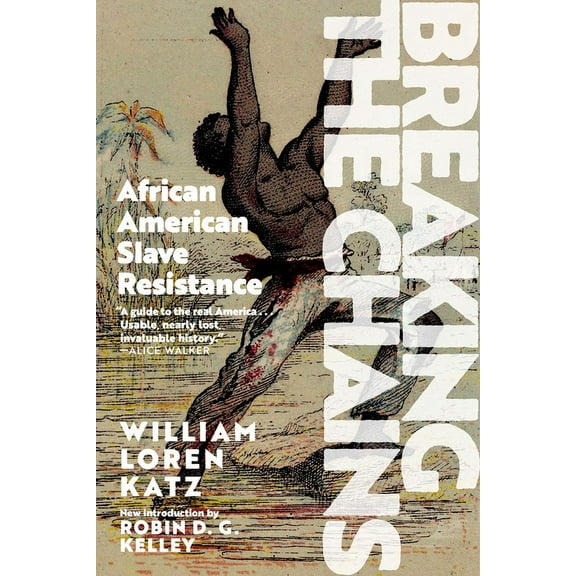 Breaking the Chains: African American Slave Resistance, (Paperback)