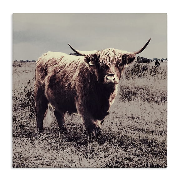 Stupell Industries Farmhouse Farm Cattle Rustic Vintage Styling Canvas Art, 17 x 17, by SD Graphics Studio