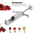 thumbnail image 2 of Descorazonador de frutas, removedor de núcleos Deshuesador de frutas Herramienta de removedor de núcleos de frutas de acero inoxidable para dátiles rojos Gadgets de cocina de uva de espino Namotu WMSS-136, 2 of 7