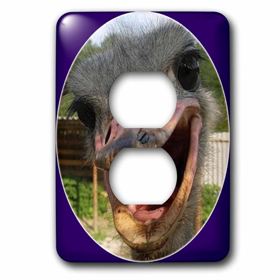 3dRose, Ostrich on Farm Whats Up, 2 plug outlet cover