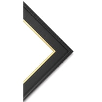 Blick Simplon Frame with Liner - 11" x 14" x 5/16", Black/Gold