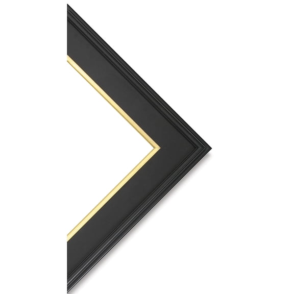 Blick Simplon Frame with Liner - 11" x 14" x 5/16", Black/Gold