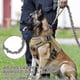 thumbnail image 5 of Dog Harness And 5.2ft Bungee Leash, Military Dog Harness Set For Large Medium Dogs, Hunting,L, 5 of 5