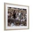 thumbnail image 3 of Stupell Industries Arches Horse Pair in Snow Birch Framed Print Under Glass, design by Jeff Poe Photography, 3 of 9