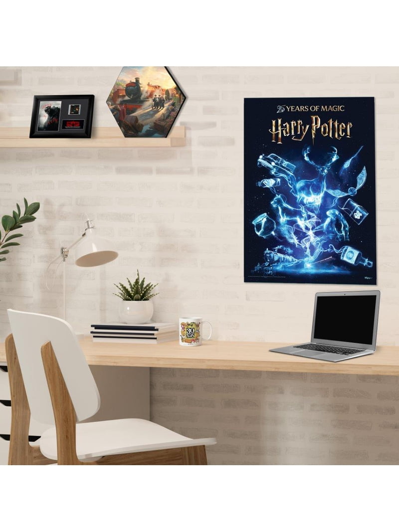 Harry Potter (25 Years of Magic) MightyPrint™ Wall Art MP17241114