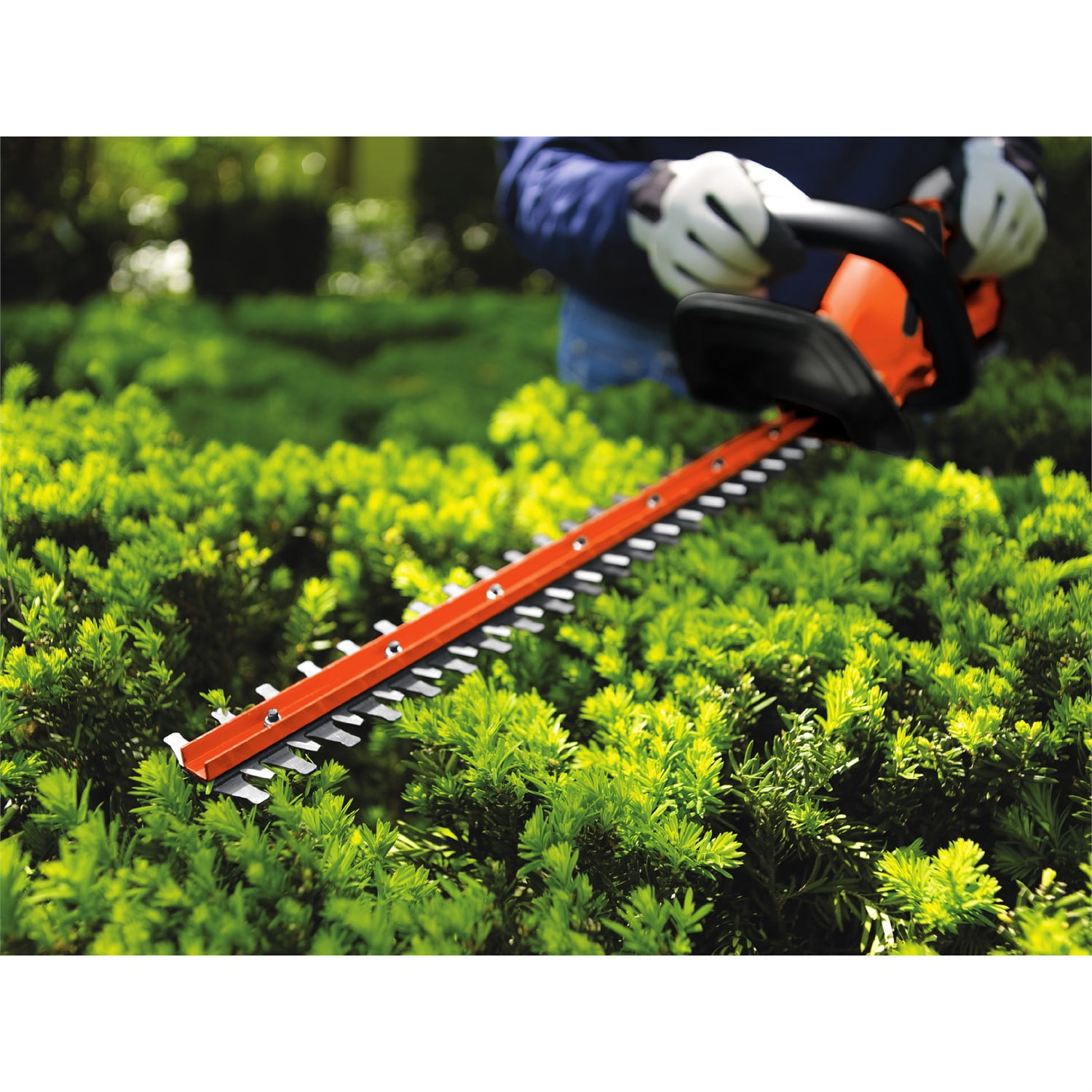 BLACK+DECKER 20V MAX Cordless Hedge Trimmer with Power Command Powercut,  22-Inch (LHT321FF)