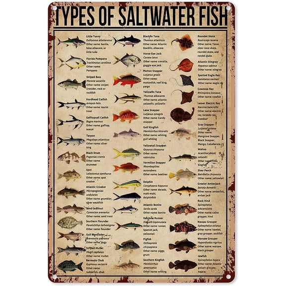 Vintage Fishing Metal Wall Sign with Saltwater Fish Guide Tin Plaque Decor for Garage or Cafe 12 x 8 Inch