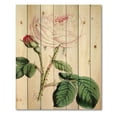 thumbnail image 3 of Designart 'Ancient Pink Flower' Traditional Print on Natural Pine Wood, 3 of 5