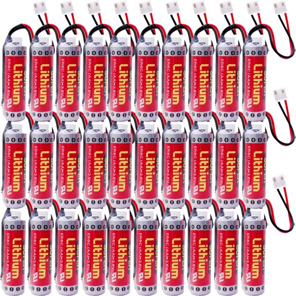 30 Pcs Original Battery for MAXELL ER6C AA 3.6V 1800mAh AA PLC Battery for FX F2-40BL with Plug