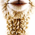 thumbnail image 2 of Men's Women's Cute Sleepy Alpaca Graphic Hoodie 3D Printed Long Sleeve Pullover Sweatshirt Casual Everyday Wear, 2 of 4