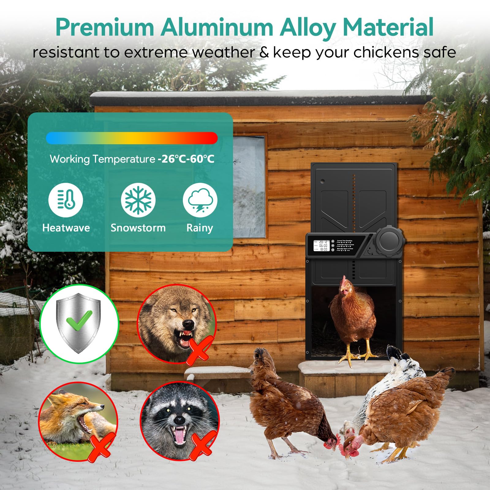 Large Automatic Chicken Coop Door, Aluminum Automatic Chicken Door with Manual & Timer Mode, Anti-Pinch & Battery Powered, LCD Display Chicken Door for Chickens, Ducks, and Geese