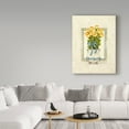 thumbnail image 3 of Trademark Fine Art ' Yellow Rose' Canvas Art by Barbara Mock, 3 of 3