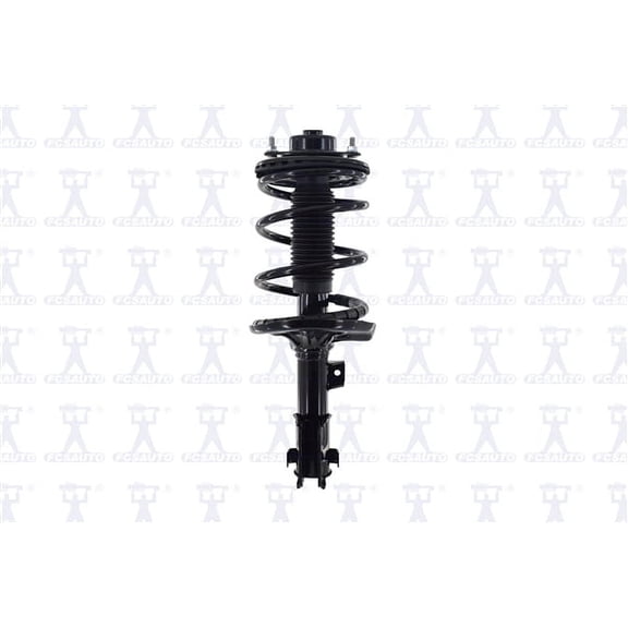 Suspension Strut and Coil Spring Assembly