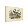 thumbnail image 2 of Trademark Fine Art 'Audubons Louisiana Heron' Canvas Art by John James Audubon, 2 of 4