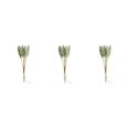 thumbnail image 1 of Manojo de otoño Ounissouiy Decoración del hogar Plantas de flores de cereales secas artificiales, 1 of 6