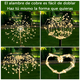thumbnail image 4 of Luz Solar De Fuegos Artificiales  Bloosom Luz De Jardín 200 Led 2pcs Blanco Calido, 4 of 5