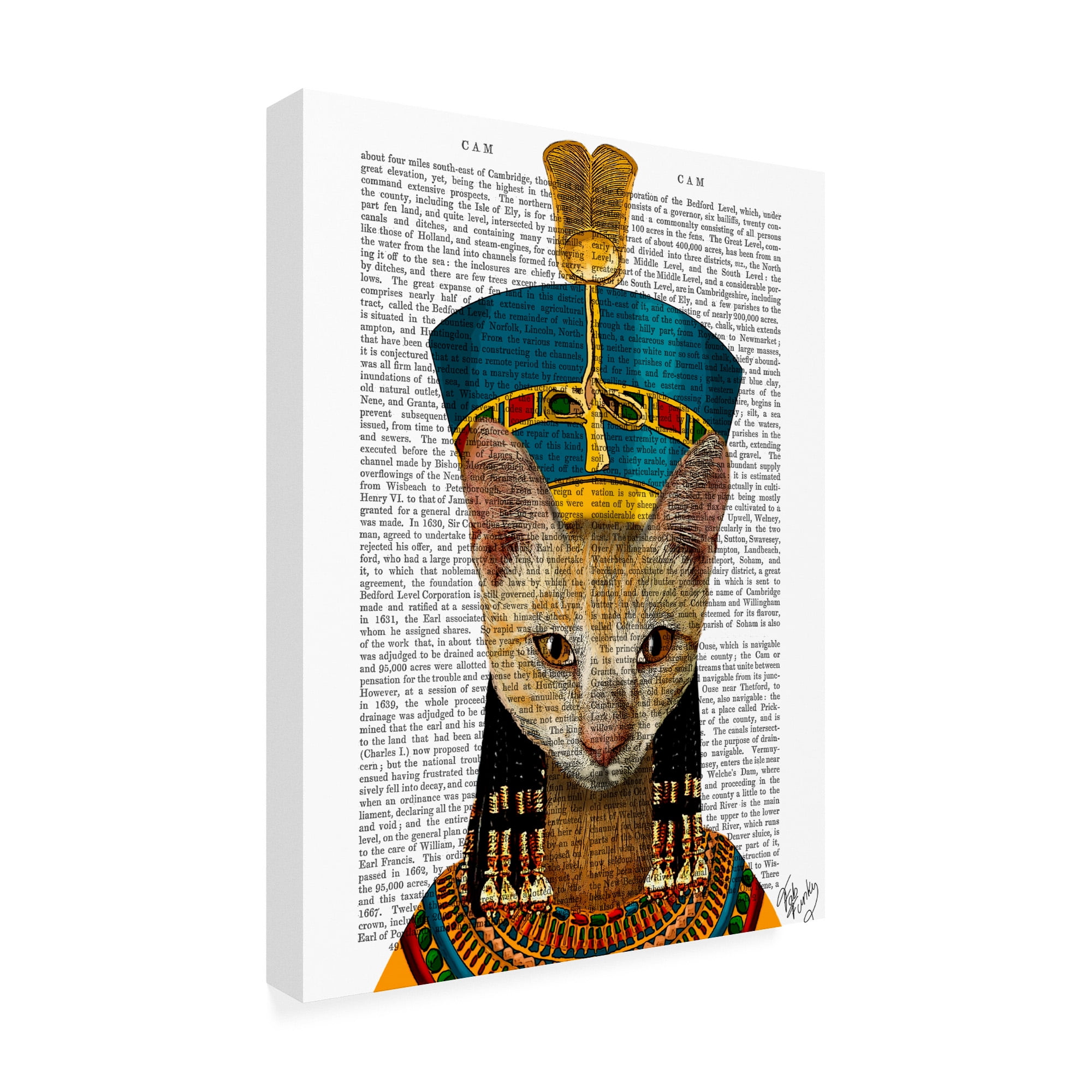 Trademark Fine Art 'Egyptian Queen Cat' Canvas Art by Fab Funky
