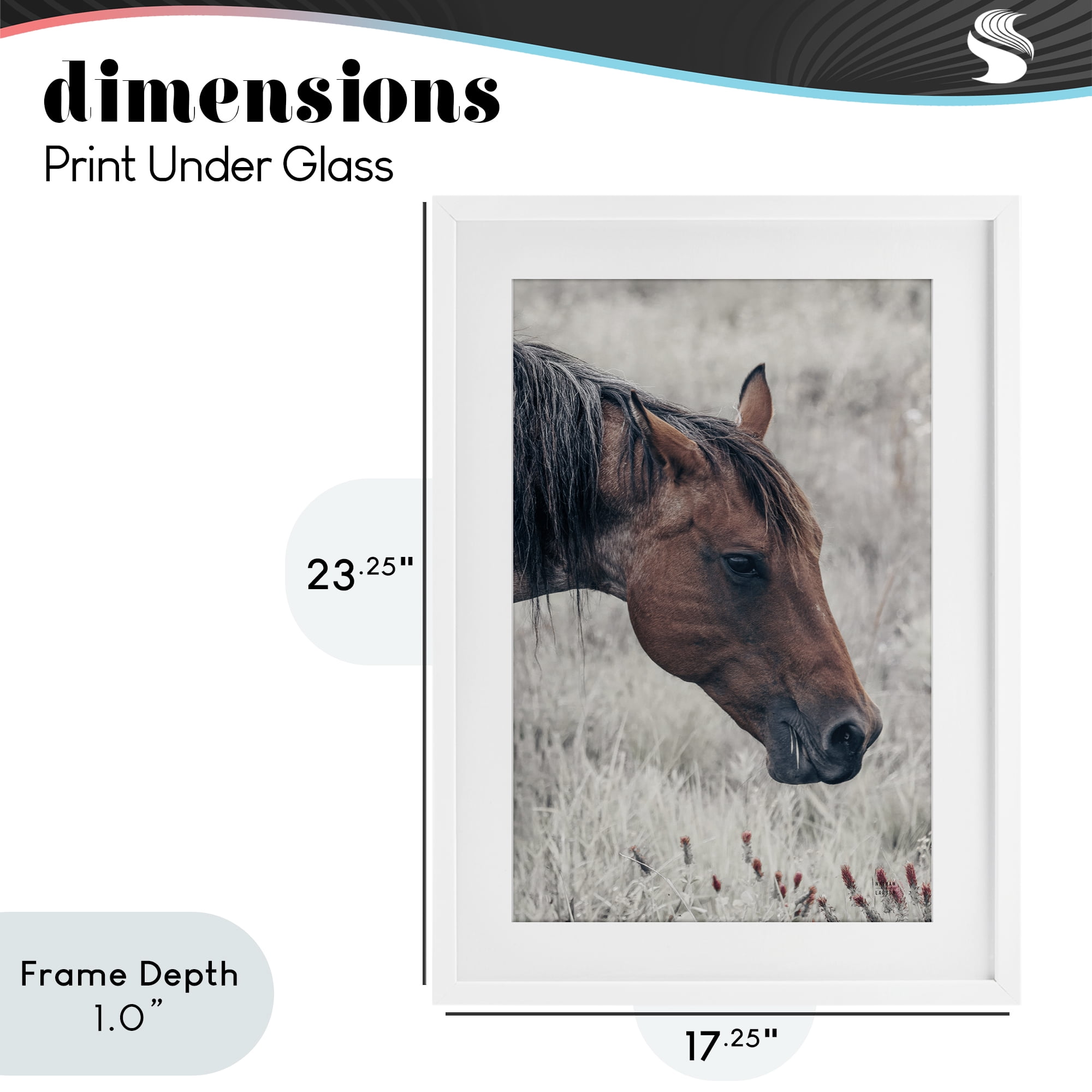 Stupell Industries Mother Horse Grazing in Meadow White Framed Print Under Glass, design by Nathan Larson
