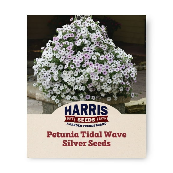 Harris Seeds - Petunia Tidal Wave Silver F1 Seeds - Fast-Growing - 25 Seeds