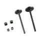 thumbnail image 1 of Valvula Admision/Escape Set Vento Nitrox 250 T2 RODA, 1 of 3