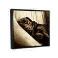 thumbnail image 2 of Stupell Industries Cuddling Labrador Dog Sleeping Cozy Sepia Photography Photograph Jet Black Floating Framed Canvas Print Wall Art, Design by James Dobson, 2 of 5