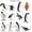 Penguin, variant on 12PCS Realistic Penguin Figurines, Plastic Polar Antarctic Animal Figures Set with Penguin Cub, Easter Eggs Cake Toppers Christmas Birthday Gift for Kids Toddlers