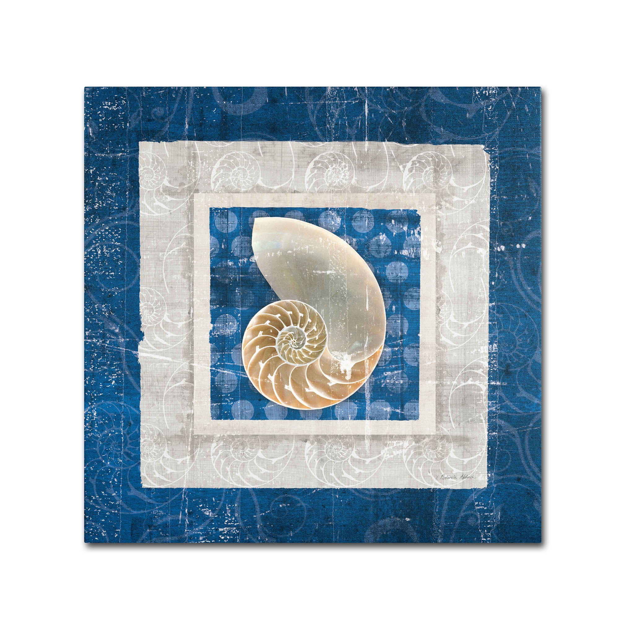 Trademark Fine Art "Sea Shell II on Blue" Canvas Art by Belinda Aldrich