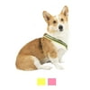 Vibrant Life Comfort Reflective Padded Step-in Dog Harness, Yellow/Black, Large