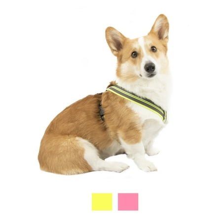 Vibrant Life Comfort Reflective Padded Step-in Dog Harness, Yellow/Black, Large