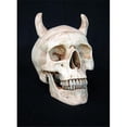 thumbnail image 1 of Aged Devil Skull with 2 in. horn, 1 of 1