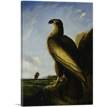 ARTCANVAS Washington Sea Eagle Canvas Art Print by John James Audubon - Size: 26" x 18" (0.75" Deep)