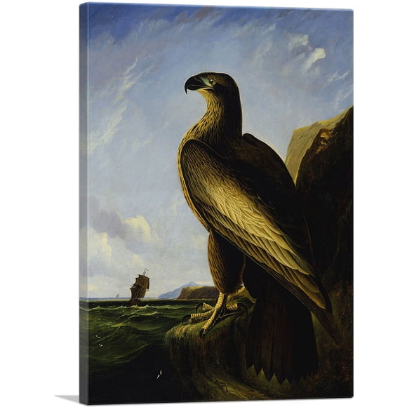 ARTCANVAS Washington Sea Eagle Canvas Art Print by John James Audubon - Size: 18" x 12" (0.75" Deep)