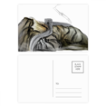 thumbnail image 1 of China Chinese The Great Wall Pattern Postcard Set Birthday Mailing Thanks Greeting Card, 1 of 3