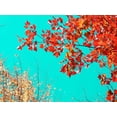 thumbnail image 2 of Stalus, Judy 32x25 Gold Ornate Wood Framed with Double Matting Museum Art Print Titled - Autumn Tapestry I, 2 of 4