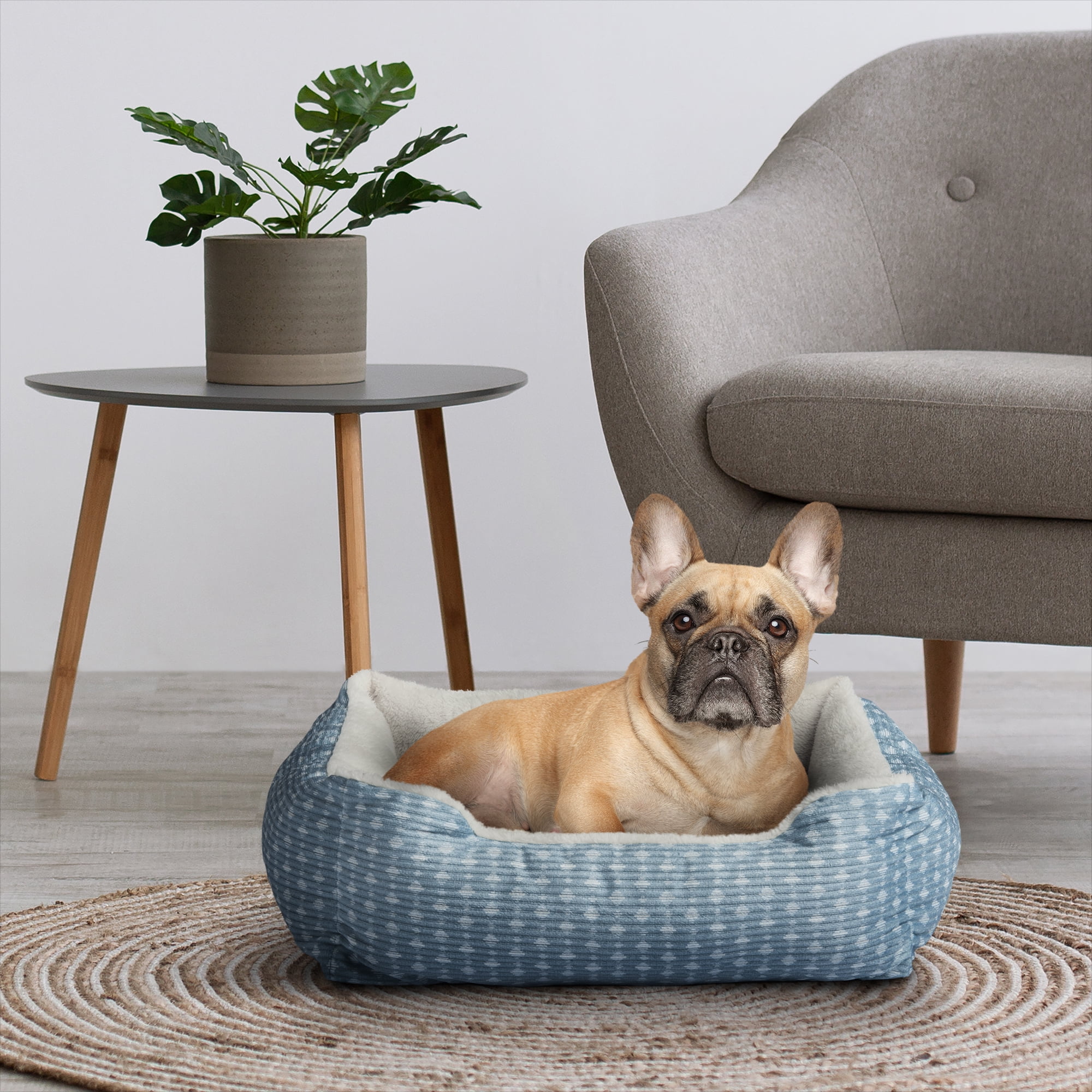 Vibrant Life Dog Bed, Cat Bed, Puppy Bed, Plush Cuddle Bed for Small Breeds, 19" x 15", Blue and White