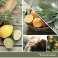 thumbnail image 2 of Yankee Candle Signature Medium Pillar Candle, Sage & Citrus, 14 oz., 2 of 6