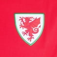 thumbnail image 2 of Wales Cymru Polo à Manches Contrastantes pour Garçons, 2 of 4