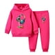 thumbnail image 1 of Odeerbi 2-16 Años Niñas Conjuntos Estampados Sudaderas Con Capucha Pantalones Dos Piezas Conjunto Sudadera Manga Larga Con Capucha Sudadera Primavera Pullover, 1 of 6