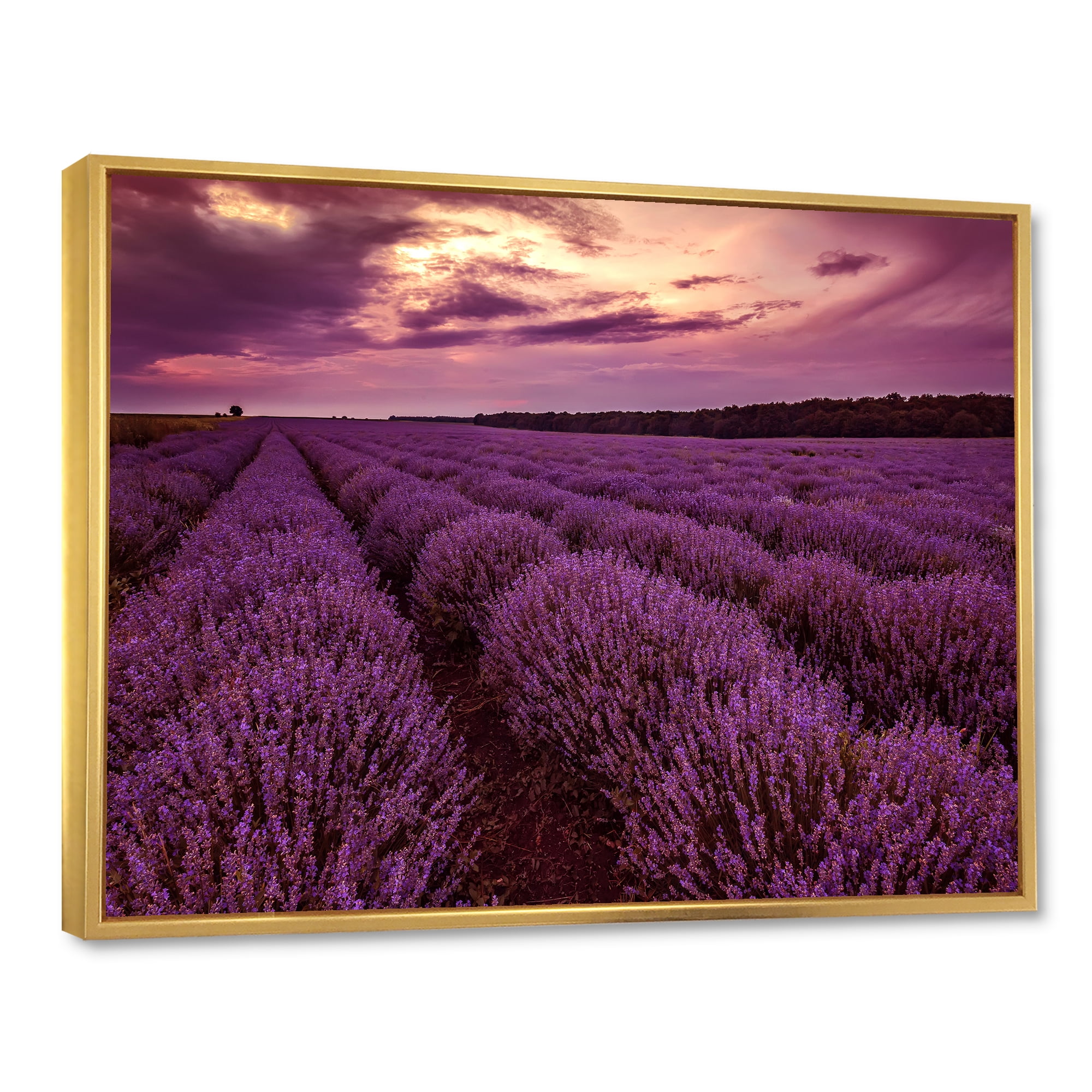 Designart 'Dramatic Clouds and Sunrise Over Lavender Field III' Farmhouse Framed Canvas Wall Art Print