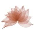 thumbnail image 1 of 100 Pcs Hojas Esqueléticas Rosa Oscuro, 2"- 3" Hojas Prensadas de Árbol de Caucho para Álbumes de Fotos y Manualidades, 1 of 7