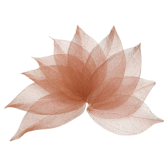 100 Pcs Hojas Esqueléticas Rosa Oscuro, 2"- 3" Hojas Prensadas de Árbol de Caucho para Álbumes de Fotos y Manualidades