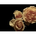 thumbnail image 2 of Burkhart, Monika 14x12 Gold Ornate Wood Framed with Double Matting Museum Art Print Titled - LEssence de la Rose I, 2 of 4